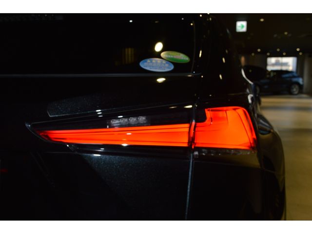 TOYOTA LEXUS NX300H 2019 Image 31