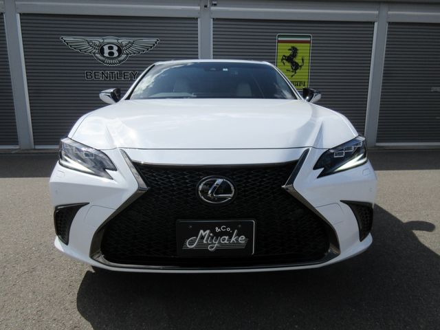 TOYOTA LEXUS ES300H 2023 Image 31