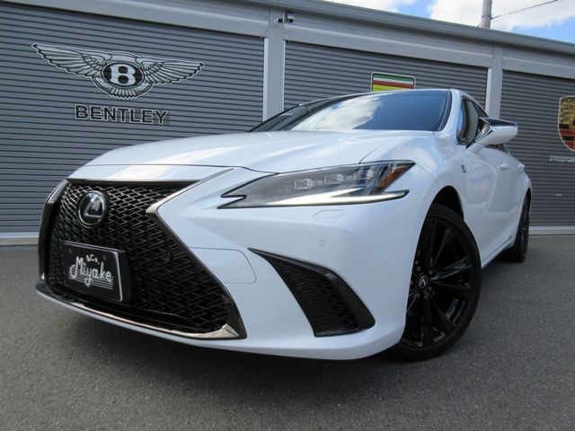 TOYOTA LEXUS ES300H 2023 Image 31