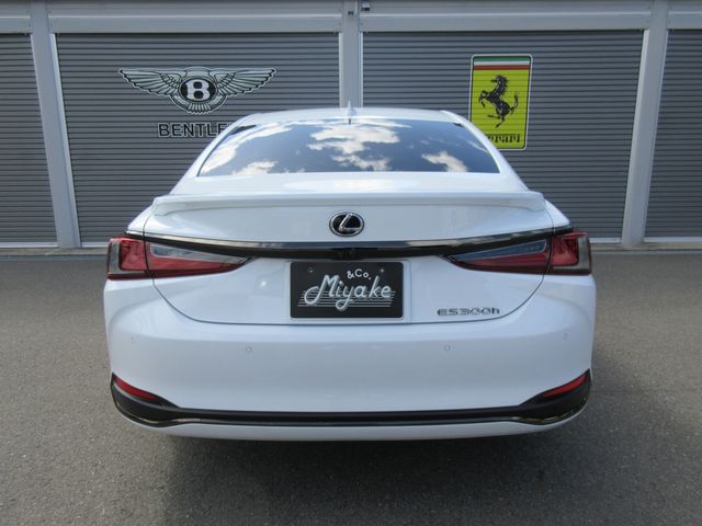 TOYOTA LEXUS ES300H 2023 Image 31