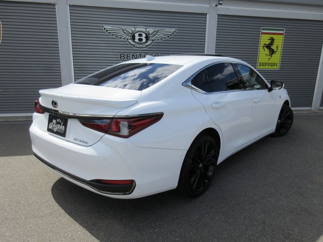 TOYOTA LEXUS ES300H 2023 Image 31