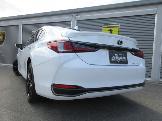 TOYOTA LEXUS ES300H 2023 Image 31