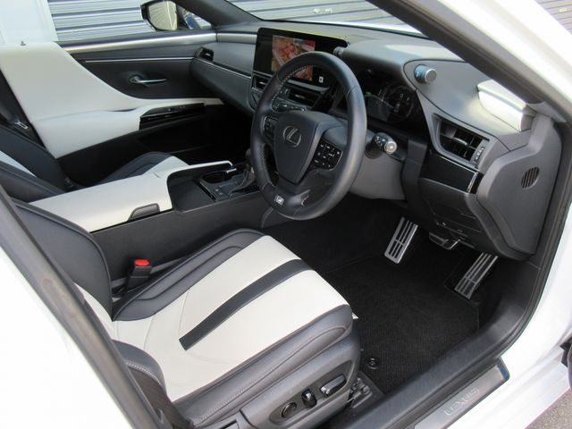 TOYOTA LEXUS ES300H 2023 Image 31