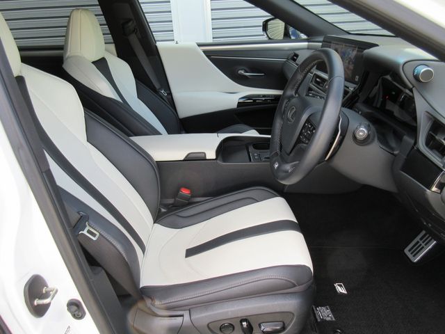 TOYOTA LEXUS ES300H 2023 Image 31