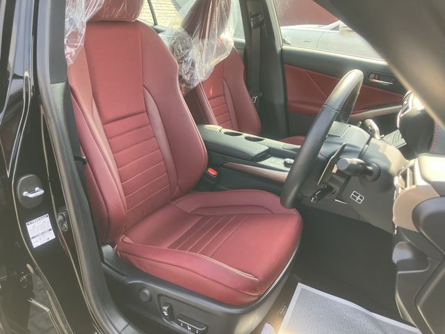 TOYOTA LEXUS IS300H 2015 Image 31