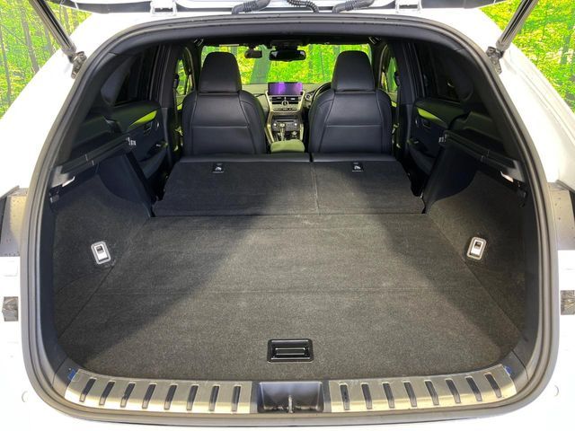 TOYOTA LEXUS NX300H AWD 2021 Image 31