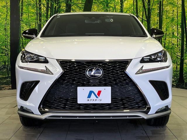 TOYOTA LEXUS NX300H AWD 2021 Image 31