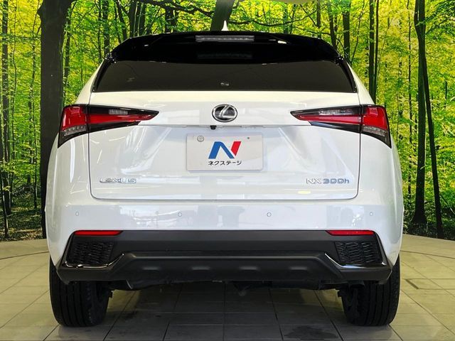TOYOTA LEXUS NX300H AWD 2021 Image 31
