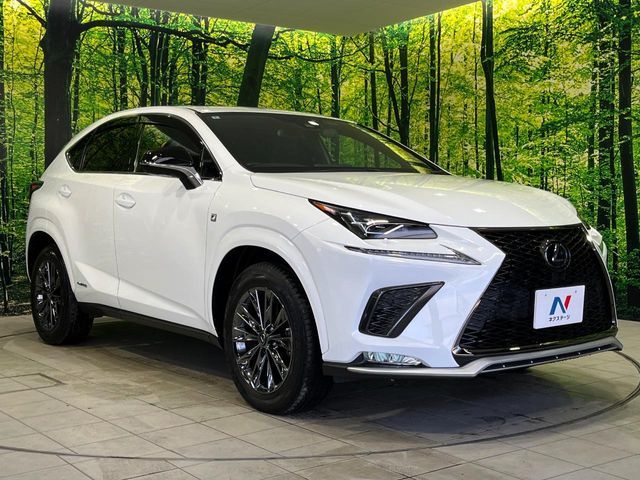 TOYOTA LEXUS NX300H AWD 2021 Image 31