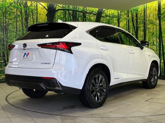 TOYOTA LEXUS NX300H AWD 2021 Image 31