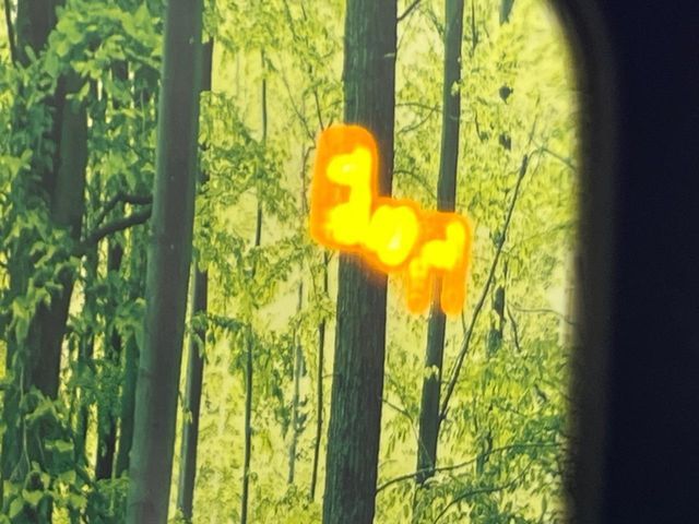 TOYOTA LANDCRUISER 250 2024 Image 31