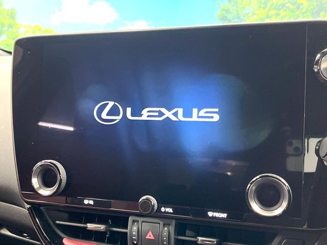 TOYOTA LEXUS NX250 2022 Image 31