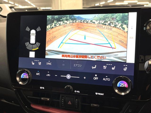 TOYOTA LEXUS NX250 2022 Image 31