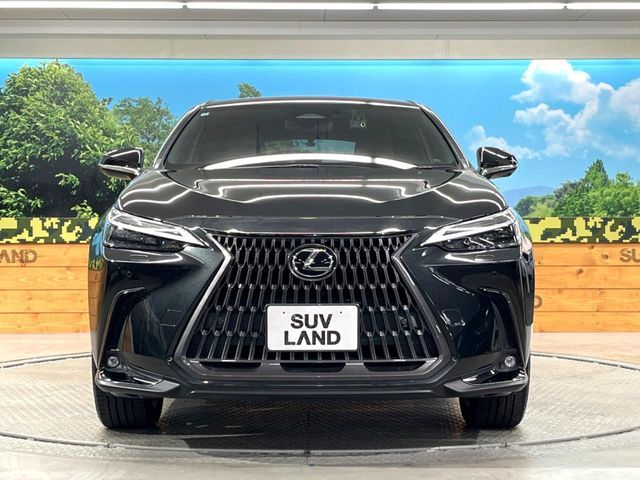TOYOTA LEXUS NX250 2022 Image 31