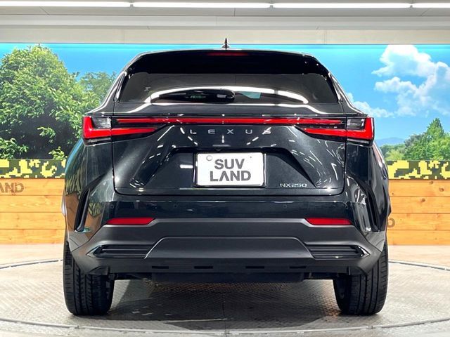 TOYOTA LEXUS NX250 2022 Image 31