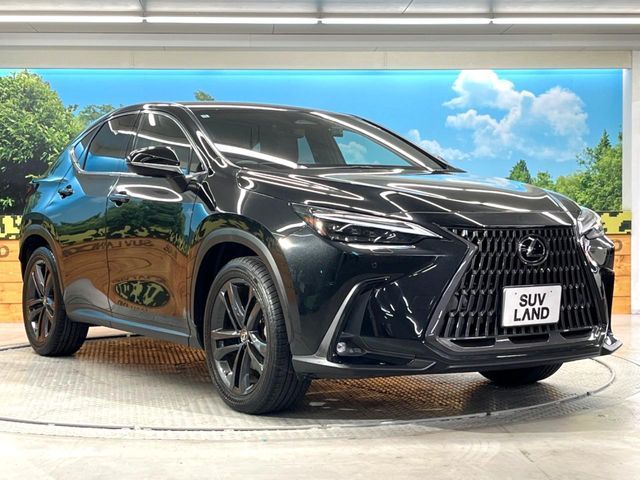 TOYOTA LEXUS NX250 2022 Image 31