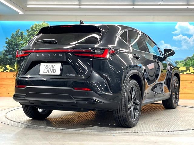 TOYOTA LEXUS NX250 2022 Image 31