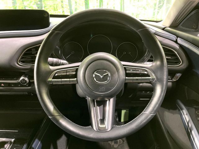 MAZDA CX-30 2019 Image 31