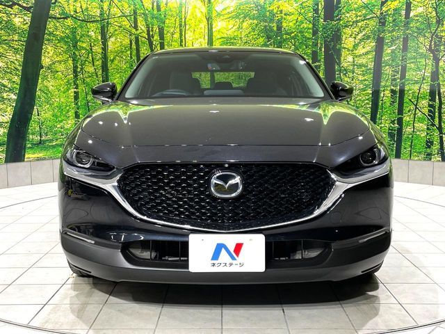 MAZDA CX-30 2019 Image 31