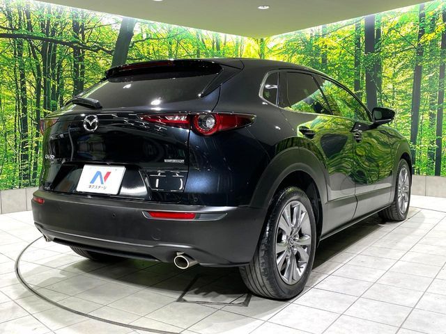 MAZDA CX-30 2019 Image 31