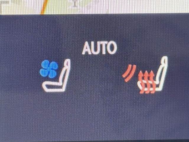 TOYOTA LEXUS RX450H+ 2023 Image 31