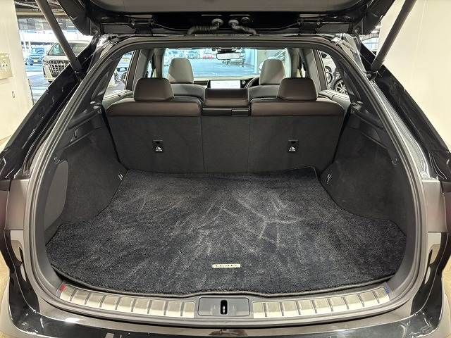 TOYOTA LEXUS RX450H+ 2023 Image 31