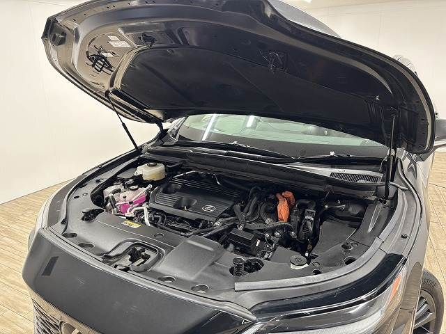 TOYOTA LEXUS RX450H+ 2023 Image 31