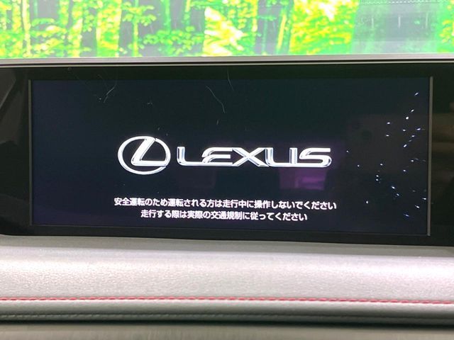 TOYOTA LEXUS UX250H 2020 Image 31