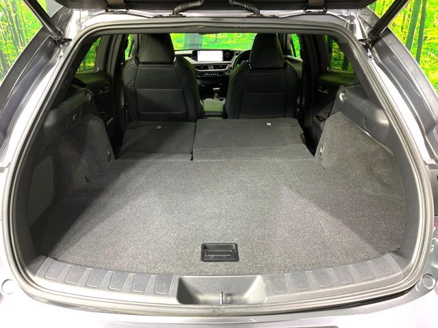 TOYOTA LEXUS UX250H 2020 Image 31