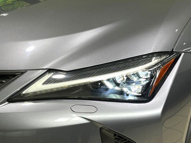 TOYOTA LEXUS UX250H 2020 Image 31