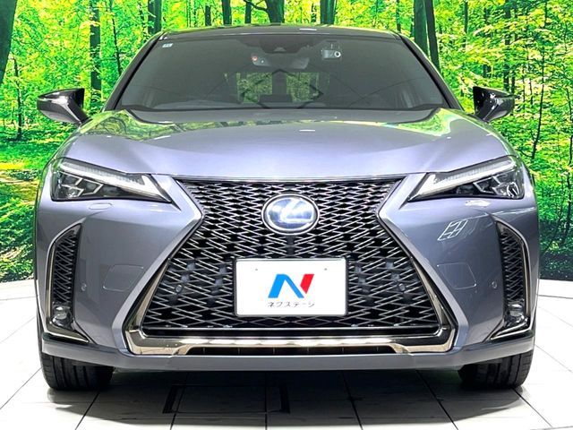 TOYOTA LEXUS UX250H 2020 Image 31
