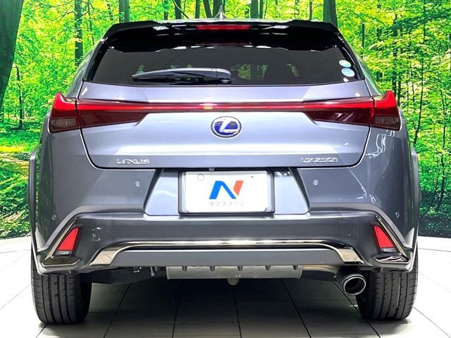 TOYOTA LEXUS UX250H 2020 Image 31