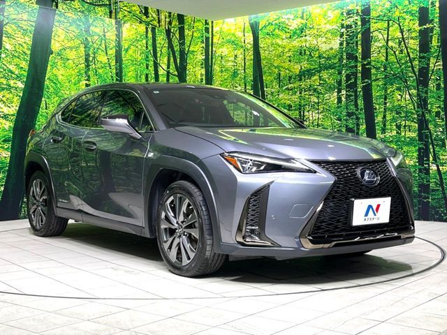 TOYOTA LEXUS UX250H 2020 Image 31
