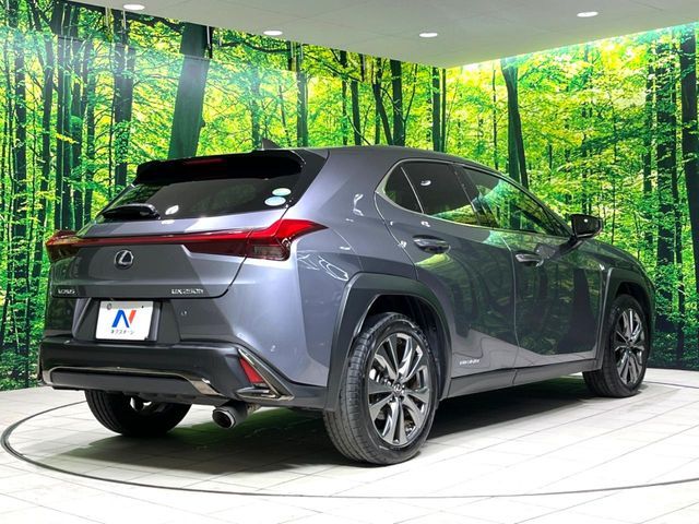TOYOTA LEXUS UX250H 2020 Image 31