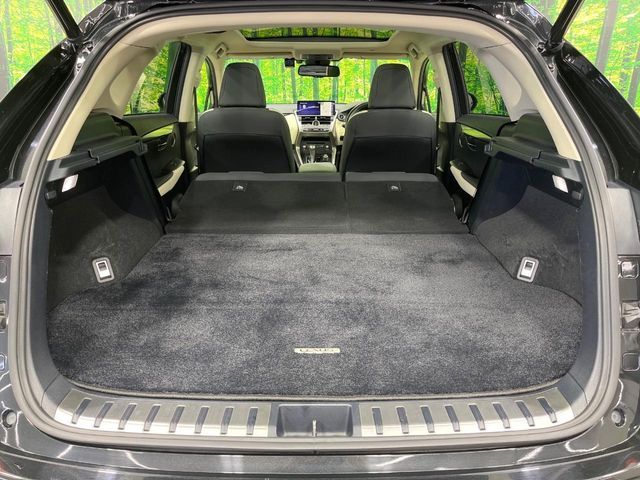 TOYOTA LEXUS NX300H 2019 Image 31