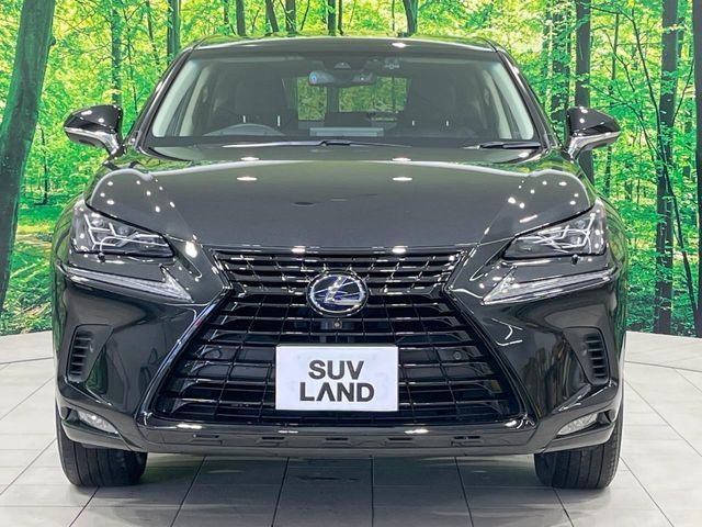 TOYOTA LEXUS NX300H 2019 Image 31