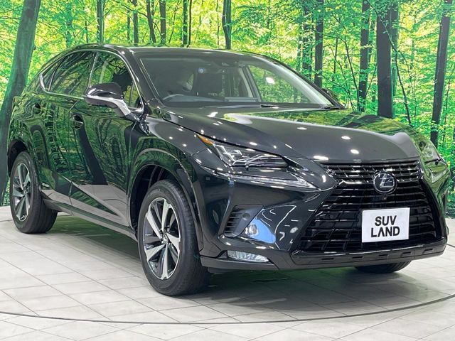 TOYOTA LEXUS NX300H 2019 Image 31