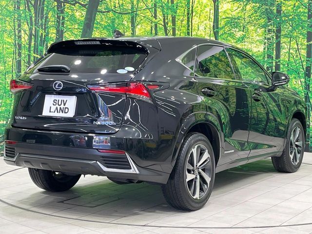 TOYOTA LEXUS NX300H 2019 Image 31
