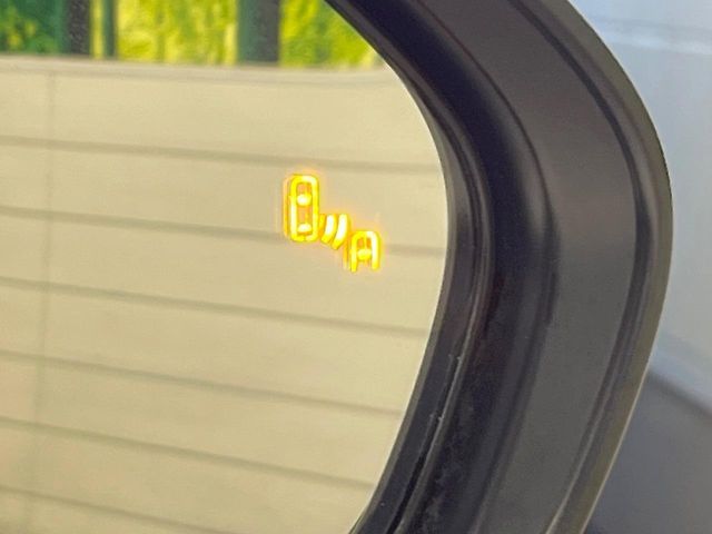 TOYOTA C-HR 2017 Image 31