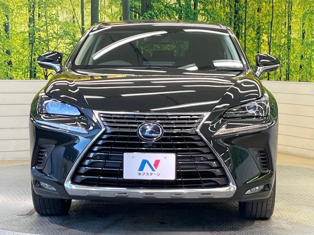 TOYOTA LEXUS NX300H 2018 Image 31
