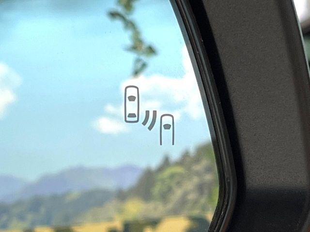 TOYOTA ALPHARD 2024 Image 31