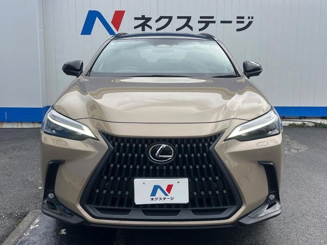 TOYOTA LEXUS NX350H AWD 2025 Image 31