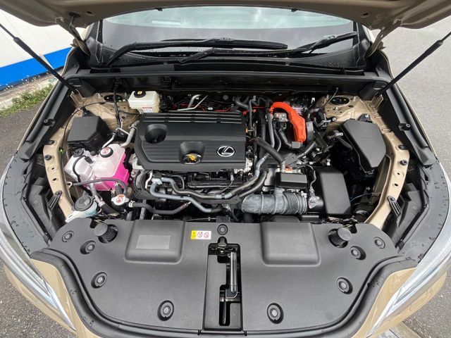 TOYOTA LEXUS NX350H AWD 2025 Image 31