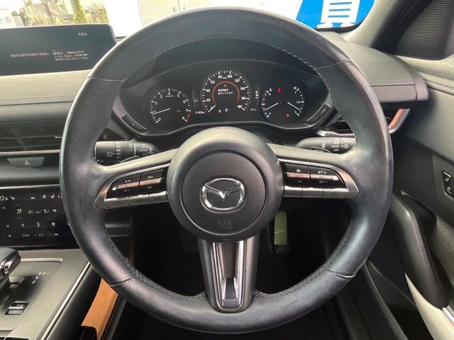 MAZDA MX-30 2021 Image 31