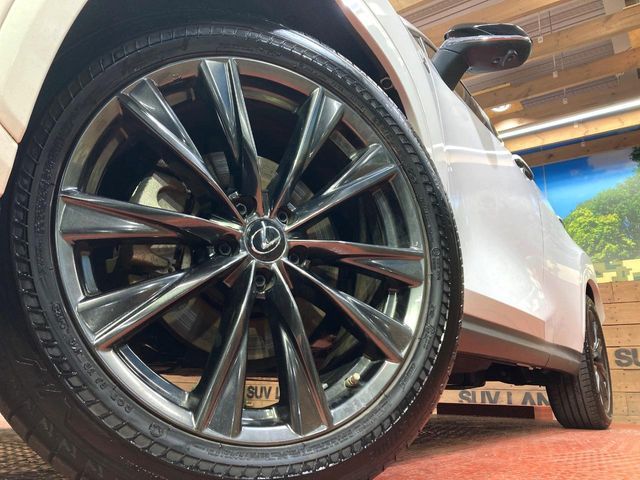 TOYOTA LEXUS NX350H 2023 Image 31