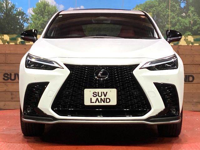 TOYOTA LEXUS NX350H 2023 Image 31
