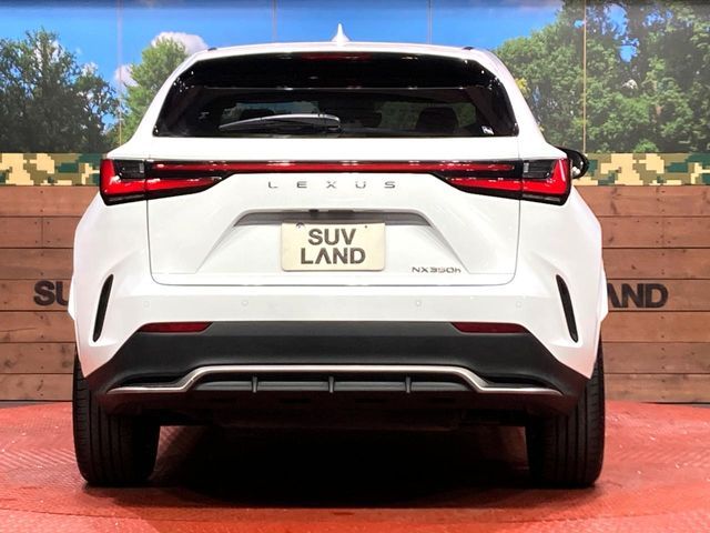 TOYOTA LEXUS NX350H 2023 Image 31