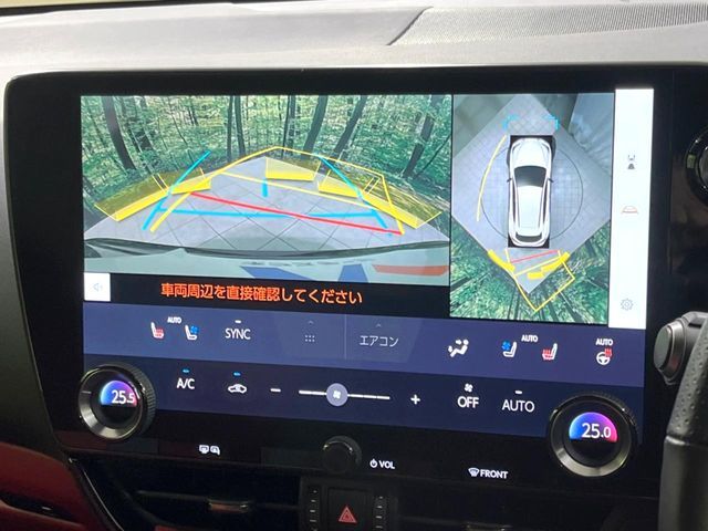 TOYOTA LEXUS NX350H 2023 Image 31