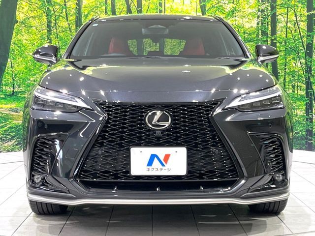 TOYOTA LEXUS NX350H 2023 Image 31