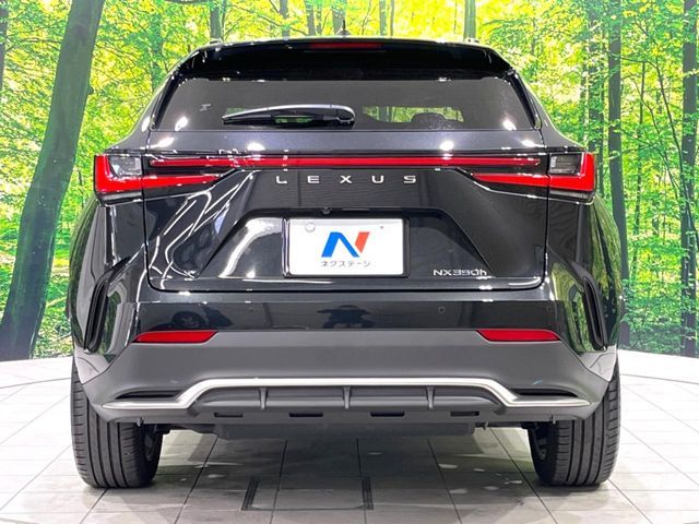TOYOTA LEXUS NX350H 2023 Image 31